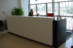 Mobilier receptie din material compozit